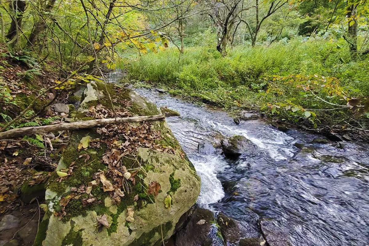 Running Stream on Irish Hill Road HUTS Land Listings
