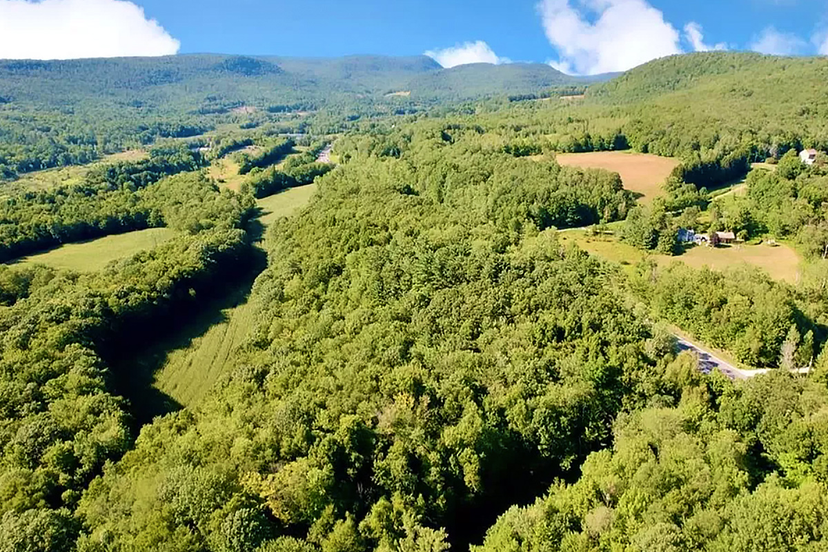 Sold/Off The Market Mountain Views and Cabin in Rensselaar County