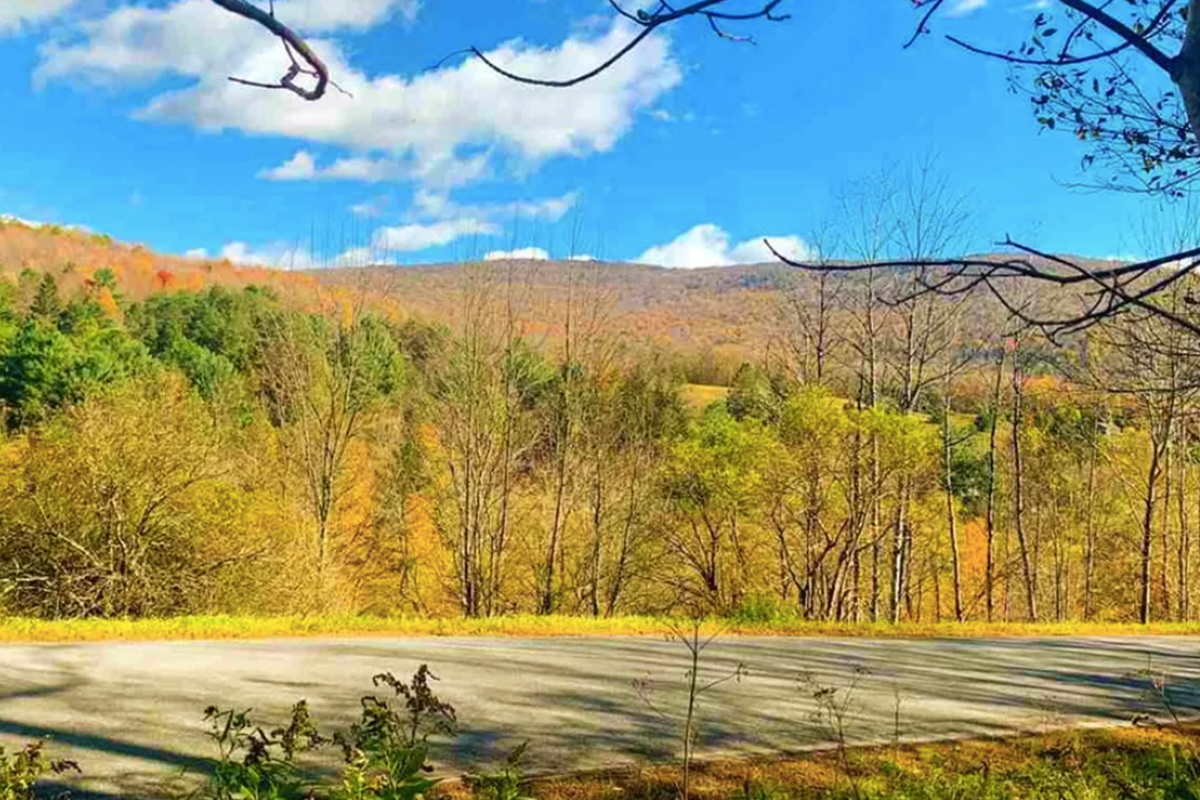 Sold/Off The Market Sweeping Views Between Bovina and Andes HUTS