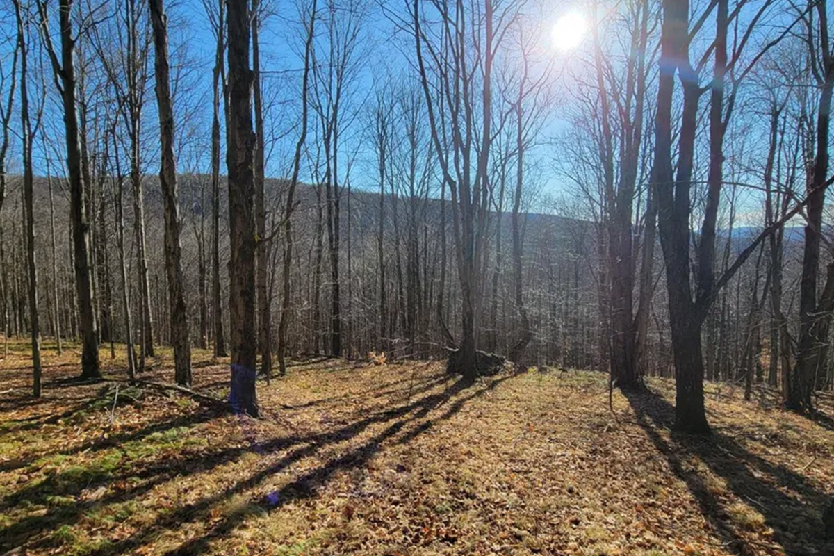 Off Market Mountainside in the Catskills HUTS Land Listings