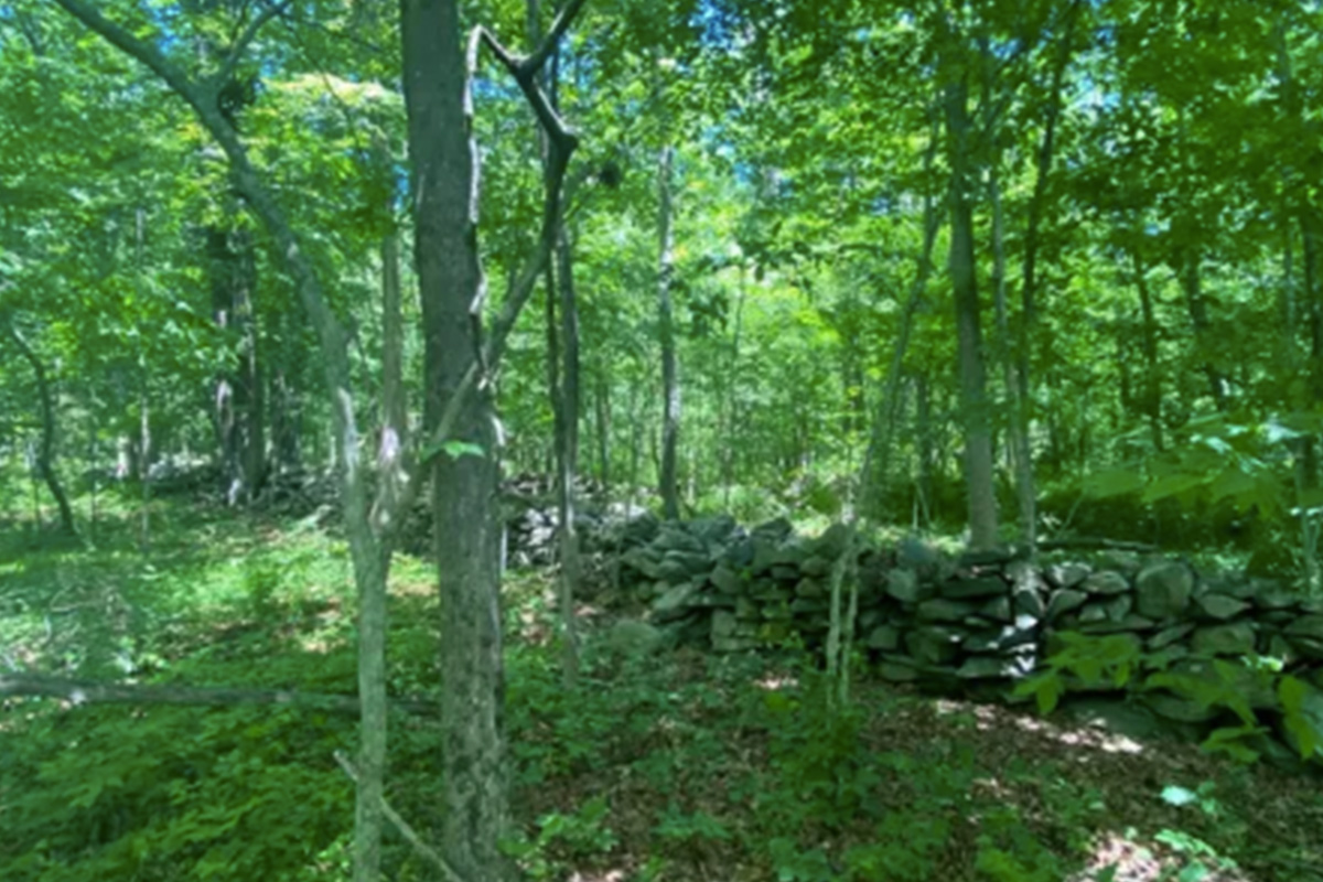 Price Reduction Pretty Poconos Parcel with Stream HUTS Land Listings