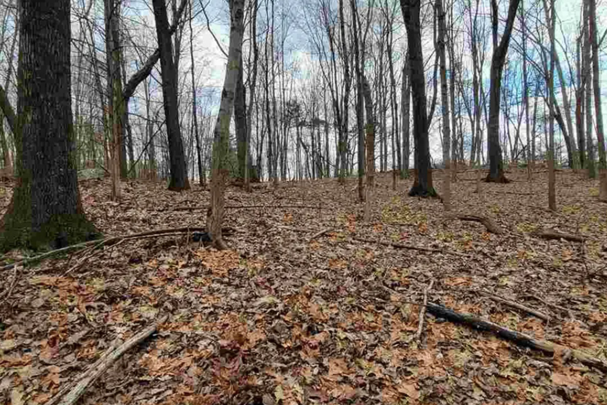 Triple Parcel Potential on Traver Road in Dutchess County HUTS Land